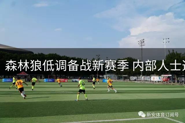 森林狼低调备战新赛季 内部人士透露球队以黑马姿态瞄准詹姆斯争夺战