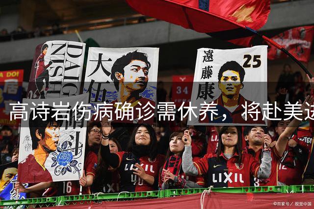高诗岩伤病确诊需休养，将赴美进行康复治疗